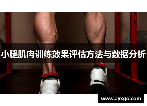 小腿肌肉训练效果评估方法与数据分析