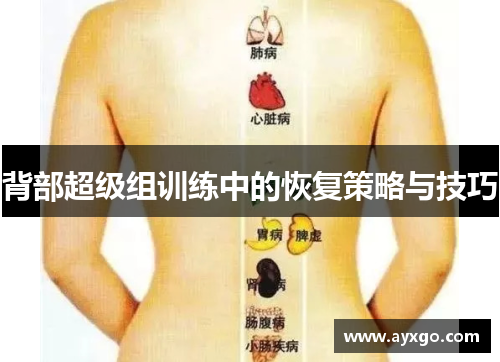 背部超级组训练中的恢复策略与技巧